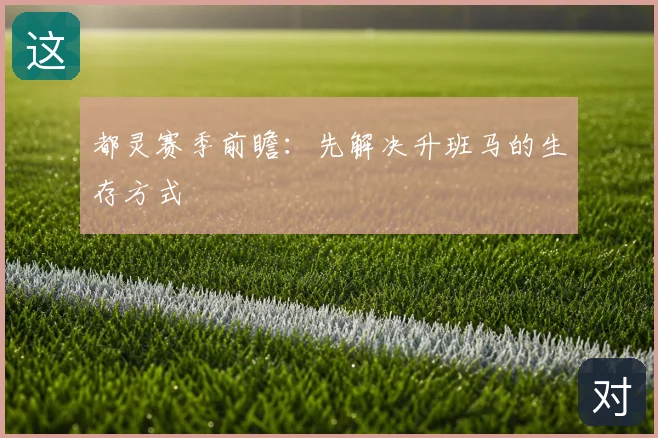 都灵赛季前瞻:先解决升班马的生存方式